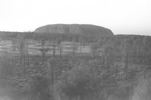 Black and white photo of Uluru at sunrise with the field of lights in the foreground