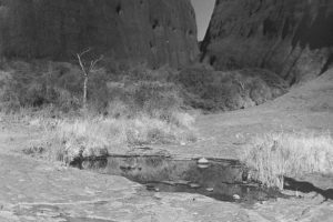 Back and white photo of Walpa Gorge with a rock pool in the foreground