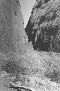 Back and white photo of Walpa Gorge