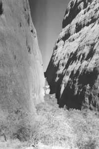 Back and white photo of Walpa Gorge