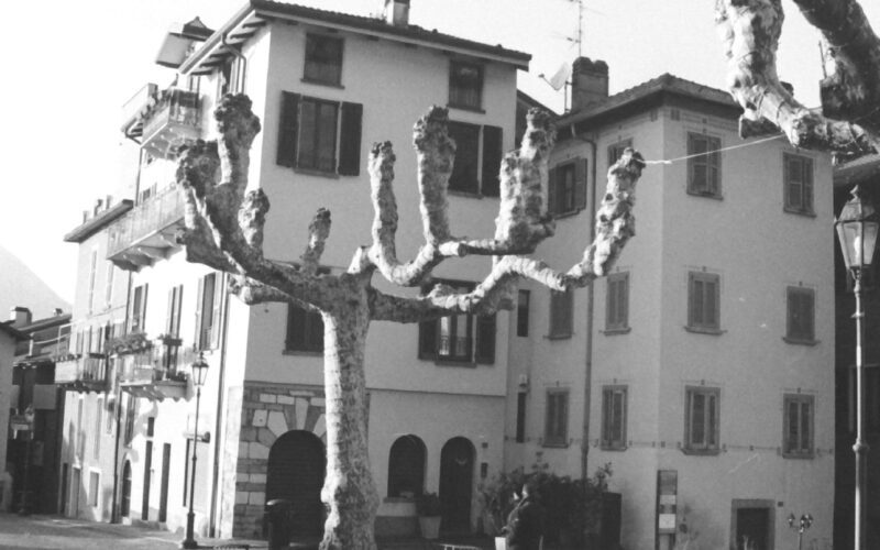 Black and white photo of a large tree with bare branches that reach upwards. The tree is in a paved town square, with buildings in the background and two people walking towards it.