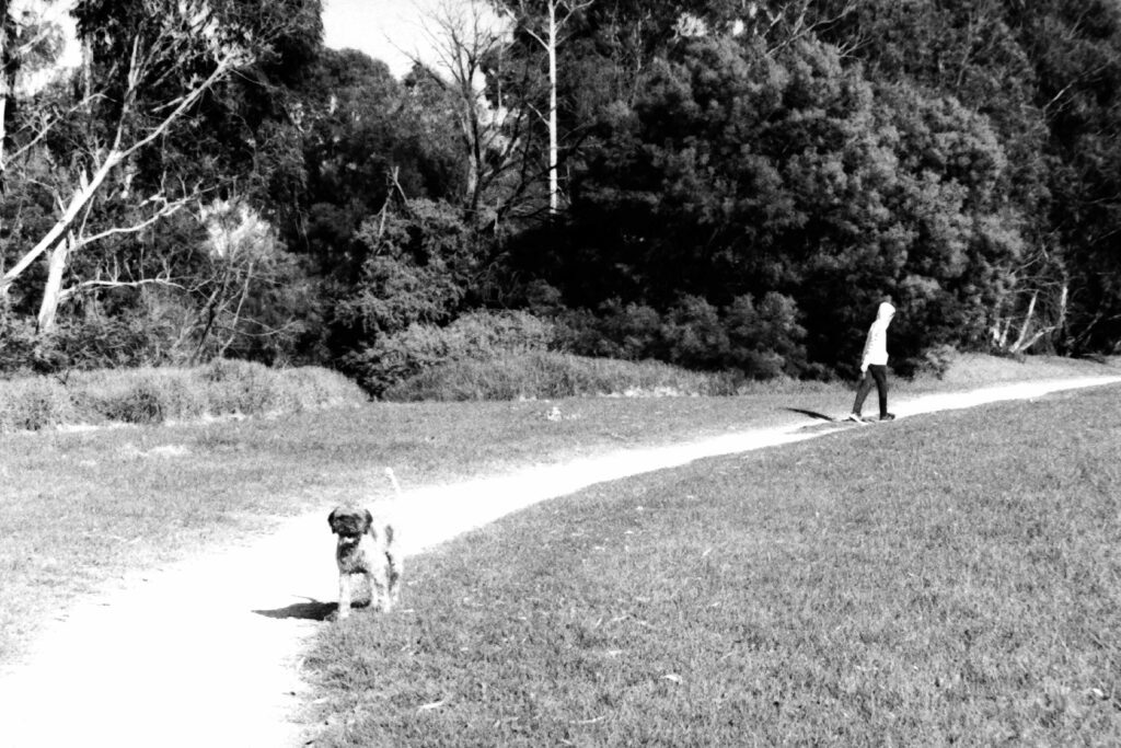 Hurry up and stop taking photos Mum!, Melbourne March 2020.