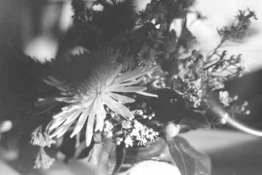 Black and white close up photograph of flowers in a vase.