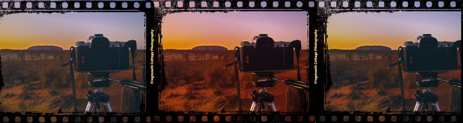 Frogmouth Cottage Photography