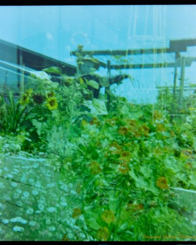Square photograph with film markings along the left and right side. The photo is a double exposure of two images of flour beds. One has a scarecrow in the background. The edges of the image are uneven.