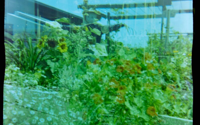 Square photograph with film markings along the left and right side. The photo is a double exposure of two images of flour beds. One has a scarecrow in the background. The edges of the image are uneven.