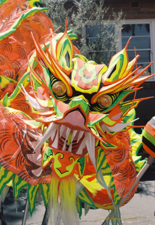 Photo of a chinese dragon head on sticks. The dragon head is facing the camera with large eyes and it's mouth open with loing sharp teeth.