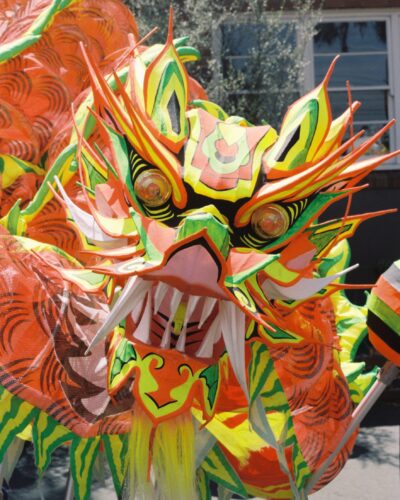 Photo of a chinese dragon head on sticks. The dragon head is facing the camera with large eyes and it's mouth open with loing sharp teeth.