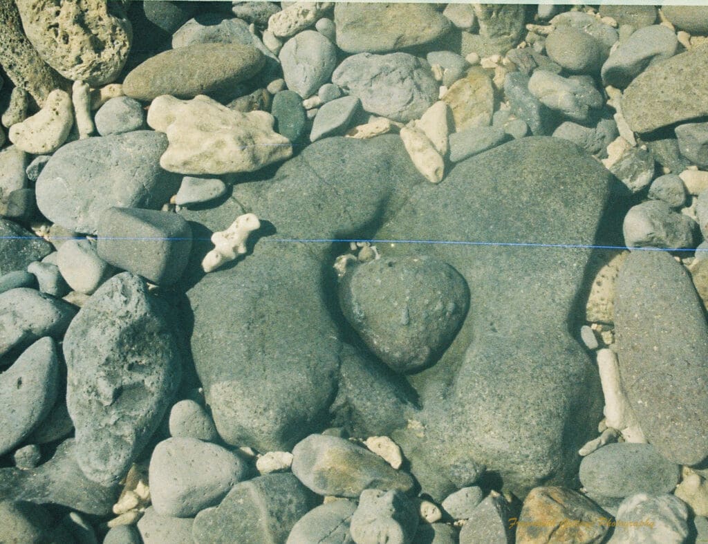 Photograph of a pile of mostly grey rocks and pieces of bleached coral.