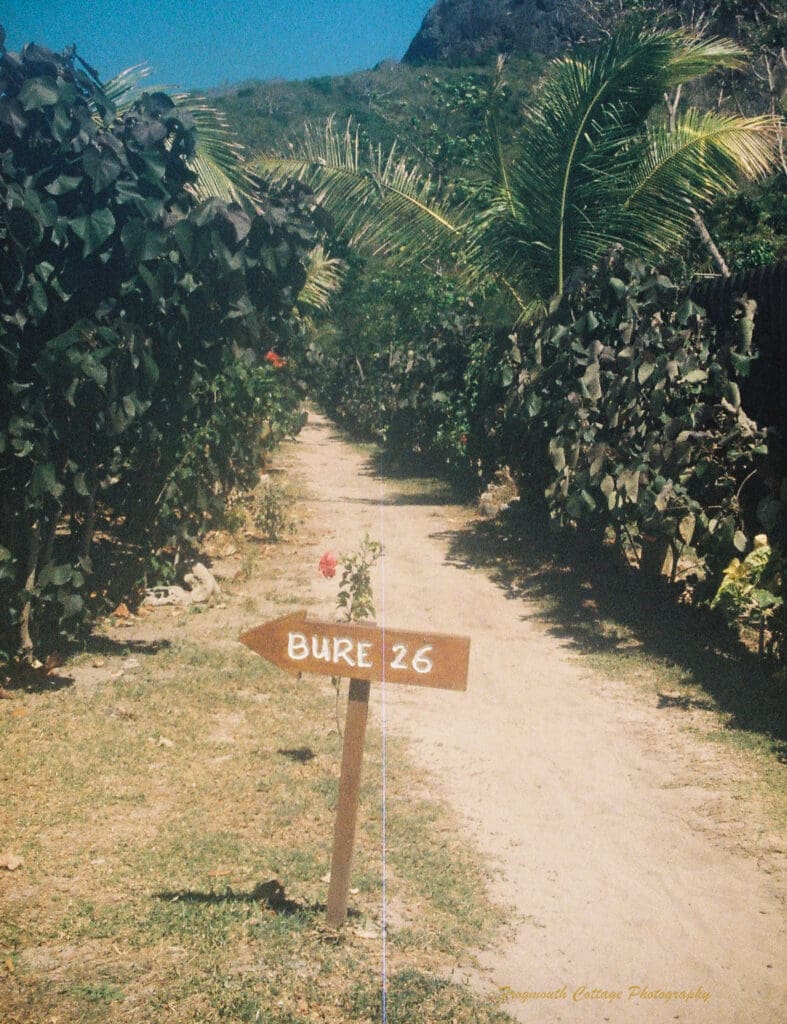 Photograph of a path leading away from the camera through lush green foliage. In the foreground is an arrow shaped sign reading "Bure 26" pointing to the left.