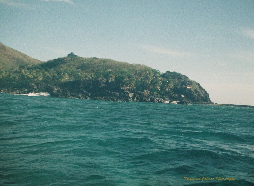 Photograph a rocky outcrop covered in green foliage jutting out into a green/blue sea.