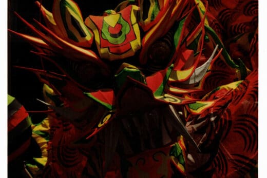 Colour photograph with a white boarder. The subject, which takes up most of the image, a the head of a chinese dragon, with yellow, green and red colouring.