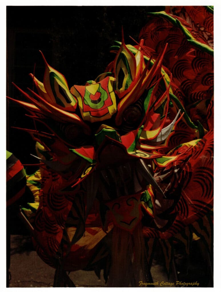 Colour photograph with a white boarder. The subject, which takes up most of the image, a the head of a chinese dragon, with yellow, green and red colouring.