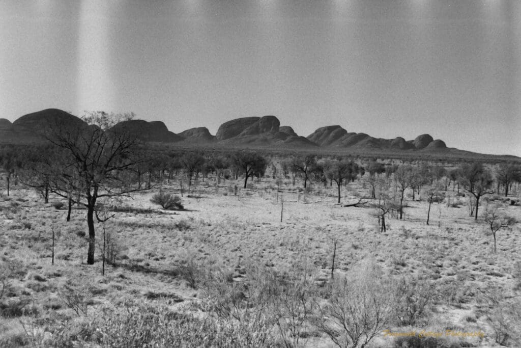 Black and white photo of a long range of rock formations with scrubby bushland in the foreground