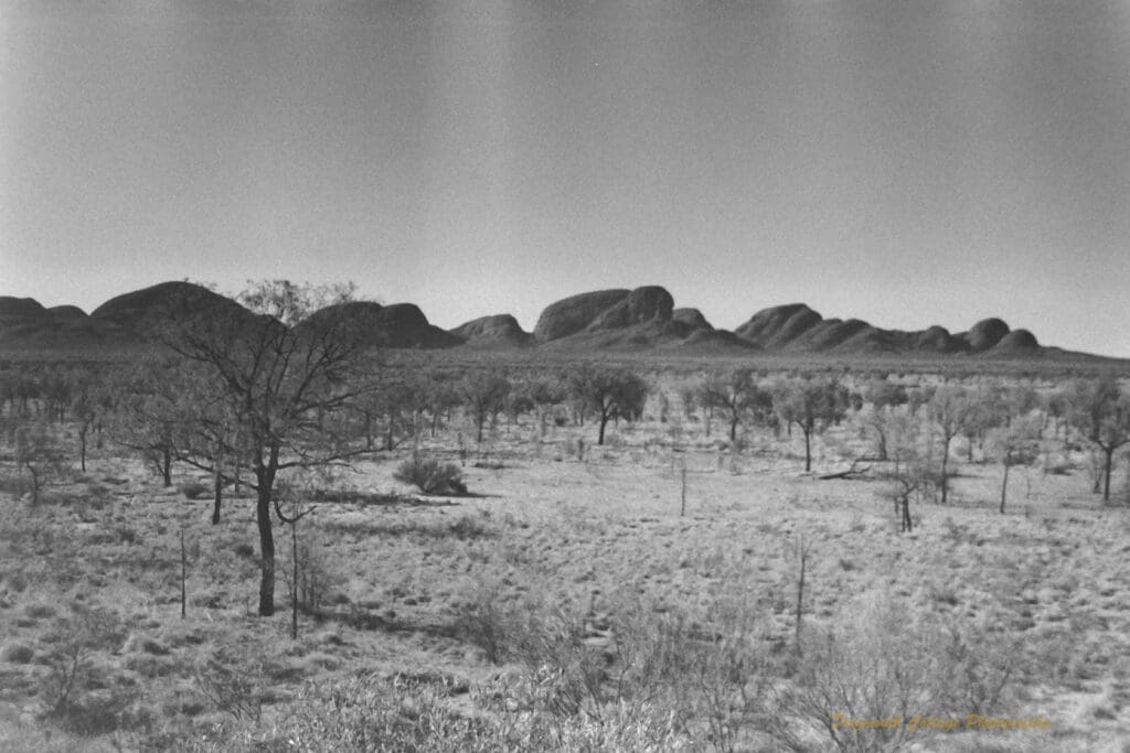 Black and white photo of a long range of rock formations with scrubby bushland in the foreground
