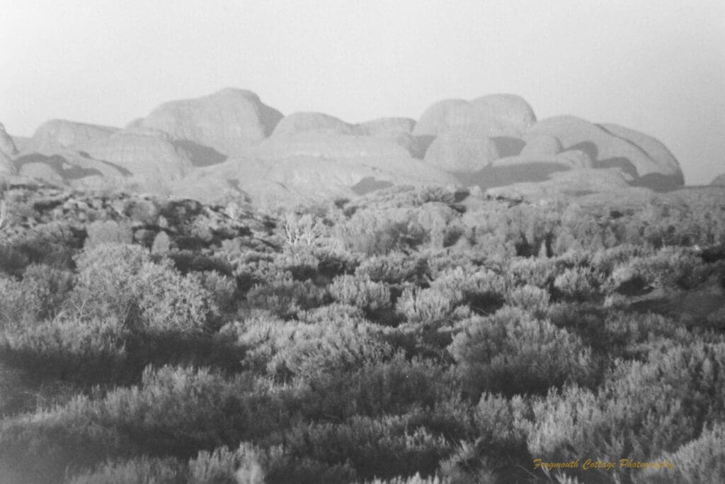 Black and white photo of a large rock formation (Kata Tjuta) photographed at low light, with scrubby bush land in front.
