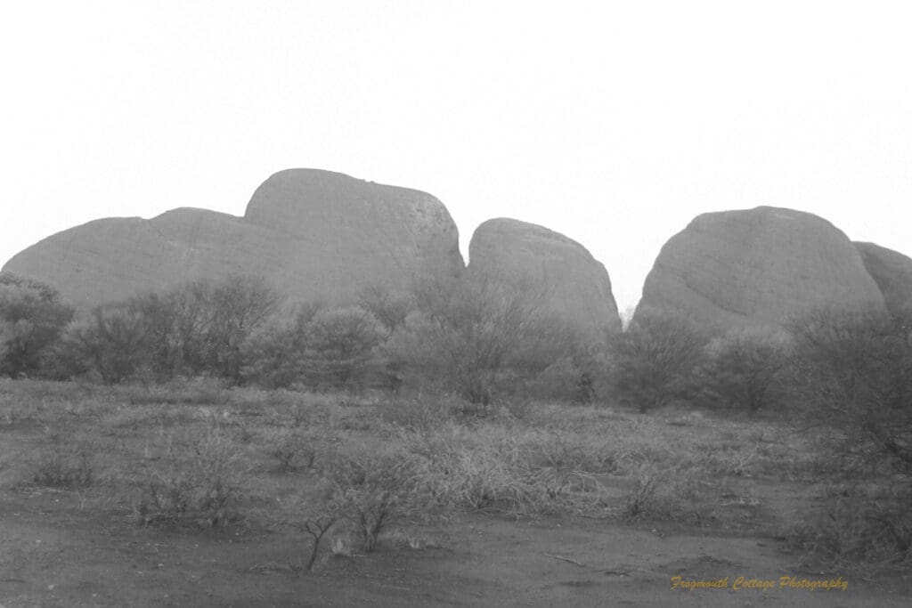 Black and white photograph of several rock formations with bushy scrubland in the foreground. The photo is taken at low light.