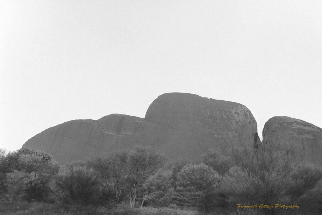 Black and white photograph of a large rock formation with bushy scrub land in the foreground. The photo is taken at low light.