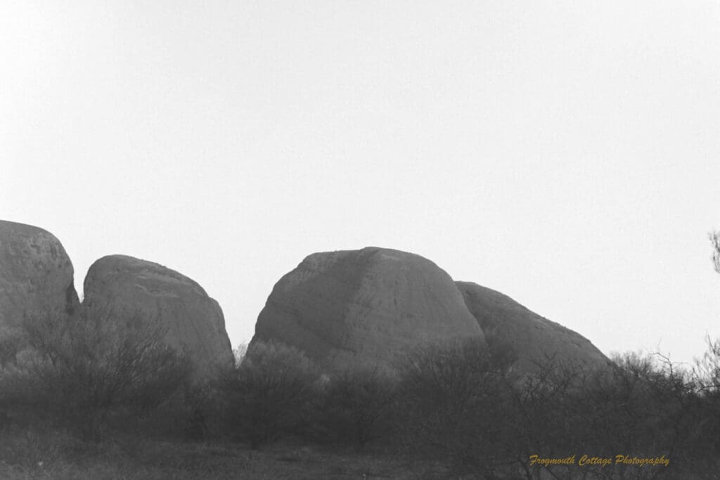 Black and white photograph of several rock formations with bushy scrubland in the foreground. The photo is taken at low light.