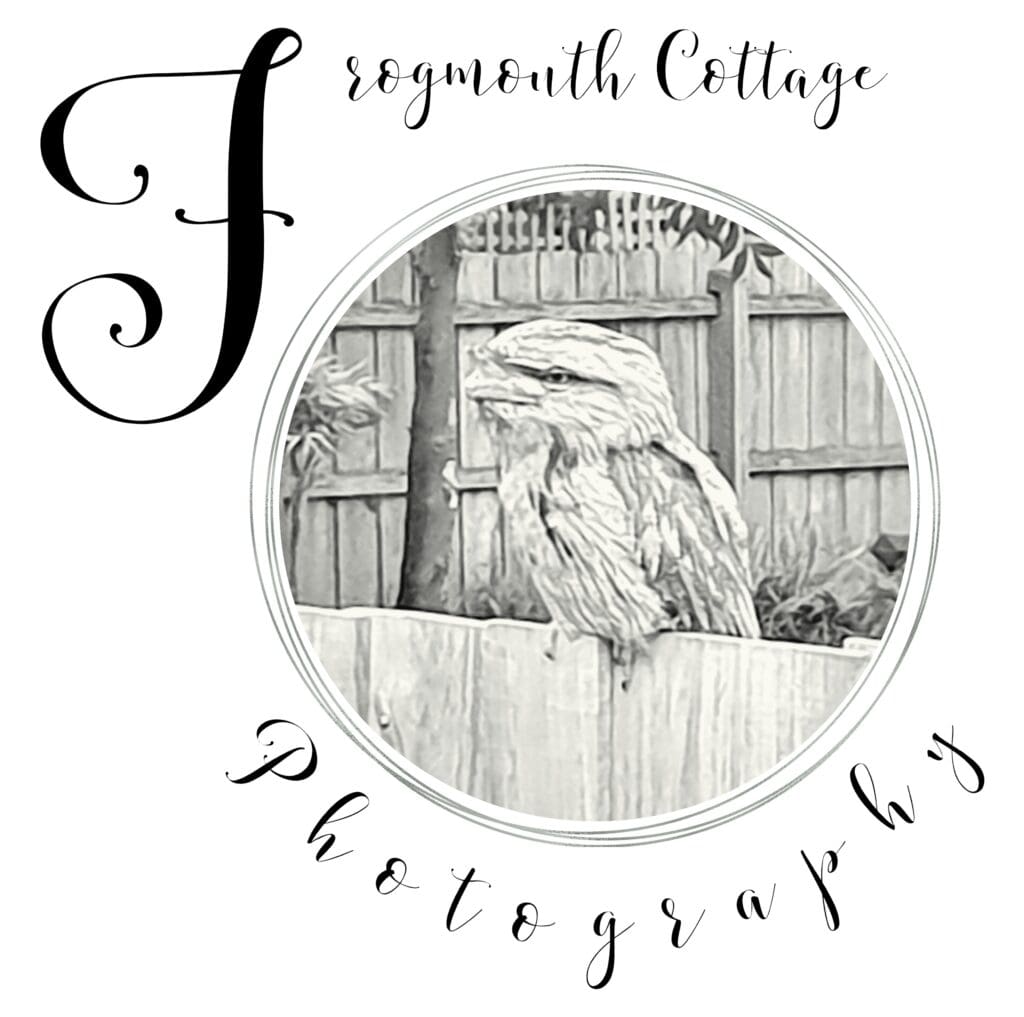 Black and white image of a Tawny Frogmouth sitting on a fence. The image is bordered by a series of circles and the words "Frogmouth Cottage Photography