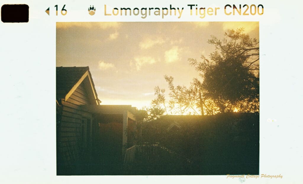 Photo of the sun setting behind trees and a weatherboard house. The sky is golden colour with a few clouds.