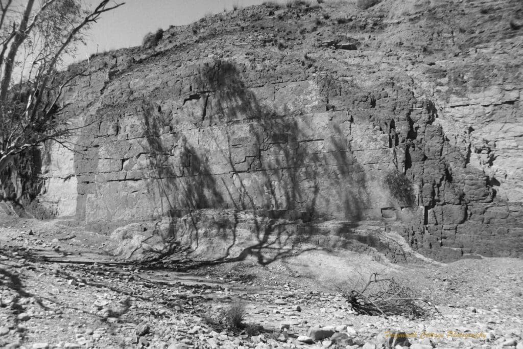 Black and white photo of a wall of ochre in different shades, with the shadow of a tree across it