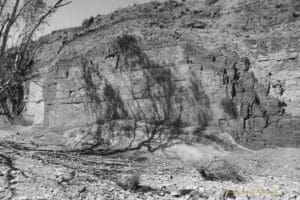 Black and white photo of a wall of ochre in different shades, with the shadow of a tree across it