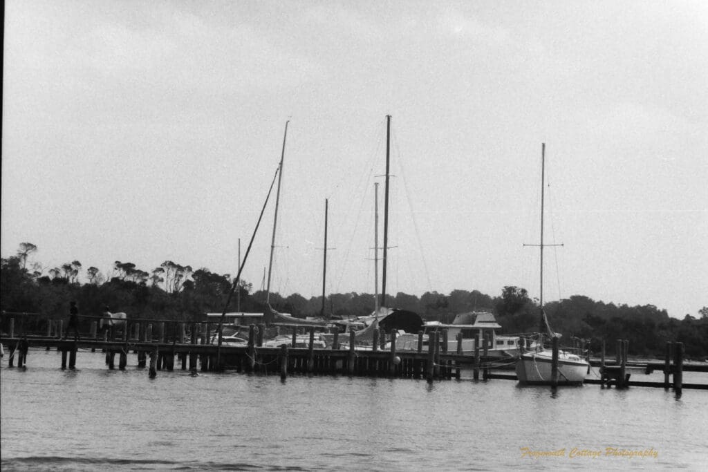 Black and white photograph of boats moored at a pier. There are numerous tall masts extending from the boats.