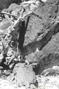 Black and white photograph of a large rock pile with a broken tree branch resting against it.