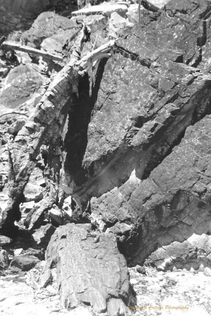Black and white photograph of a large rock pile with a broken tree branch resting against it.