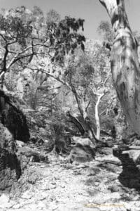 Black and white photograph of a rocky path leading down through bush and rocks. A man is walking down the path away from the camera,