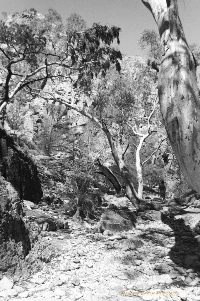 Black and white photograph of a rocky path leading down through bush and rocks. A man is walking down the path away from the camera,