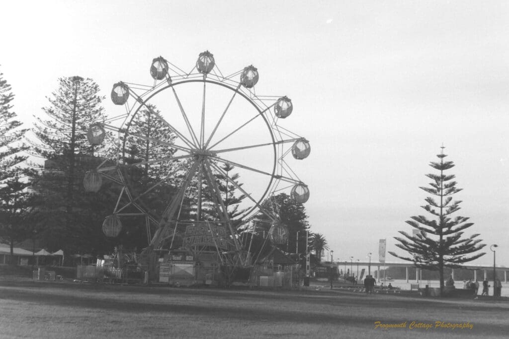 Black and white photograph of a ferris wheel situated on a grassy foreshore with a small number of people walking along the path at the right.