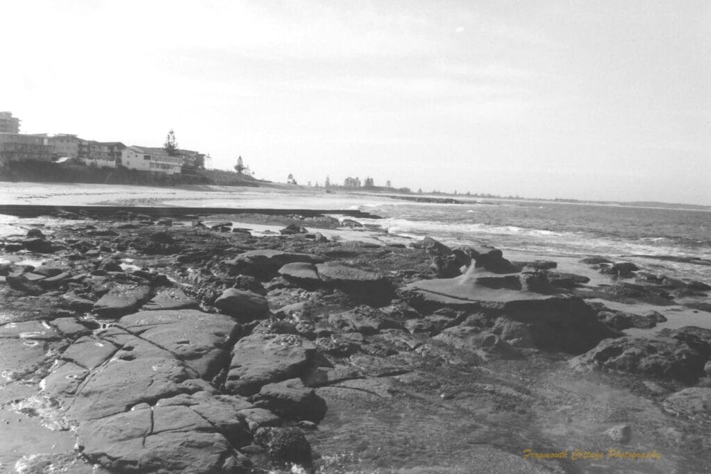 Black and white photograph looking across rocks and the ocean to houses along the shoreline.