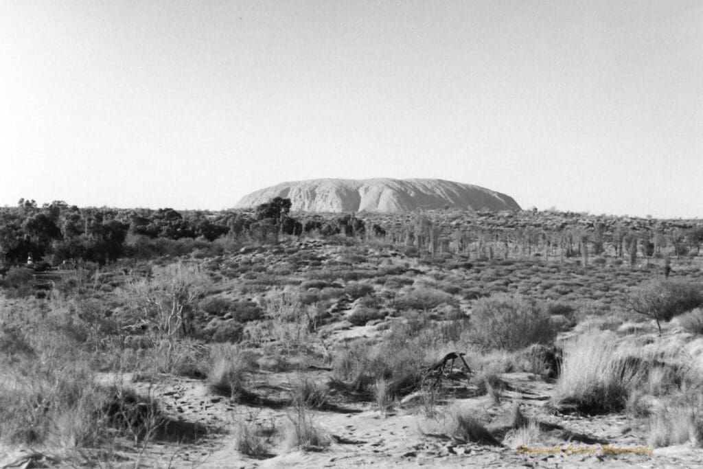 Black and white photo of a dark scrubby landscape with a large, long rock in the background.