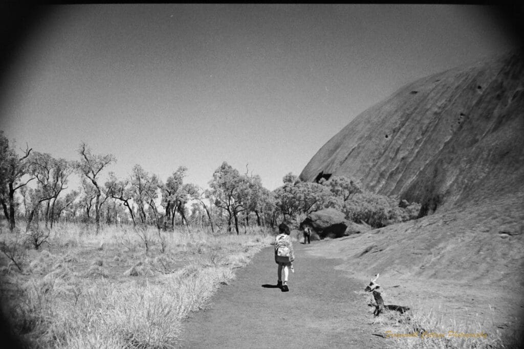 Black and white photo of two people walking along a path with Uluru on the right hand side and scrub and trees on the left.