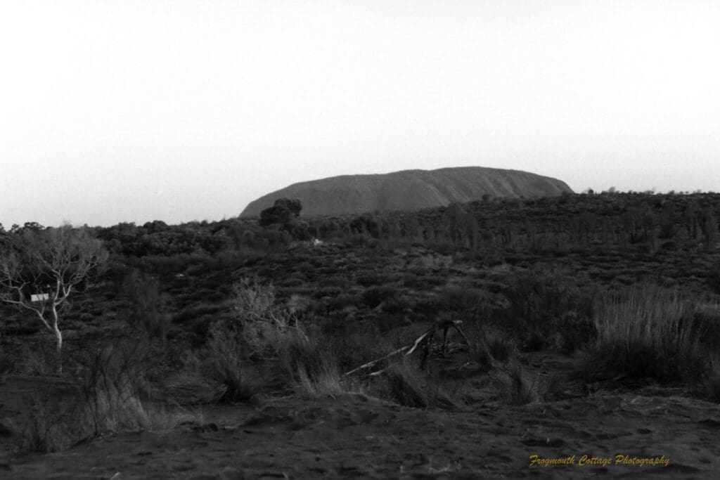 Black and white photo of a dark scrubby landscape with a large, long rock in the background. The image is tilted slightly.