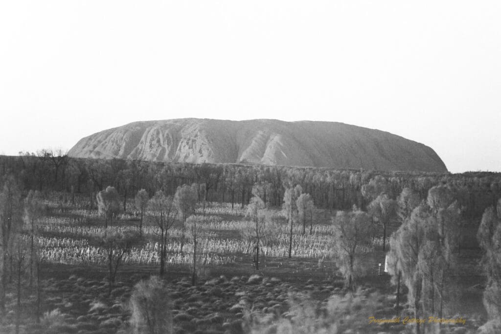 Black and white photograph of a long large rock (Uluru) rising above bushland with thin trees. There is a patch of open space with hundreds of small white lights (Field of Lights) in front of Uluru. The horizon is on an angle sloping down from left to right. The photographer has zoomed in and lines and ridges are visibile on Uluru.