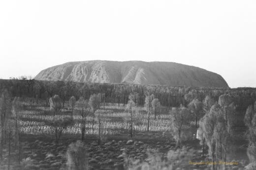 Black and white photograph of a long large rock (Uluru) rising above bushland with thin trees. There is a patch of open space with hundreds of small white lights (Field of Lights) in front of Uluru. The horizon is on an angle sloping down from left to right. The photographer has zoomed in and lines and ridges are visibile on Uluru.