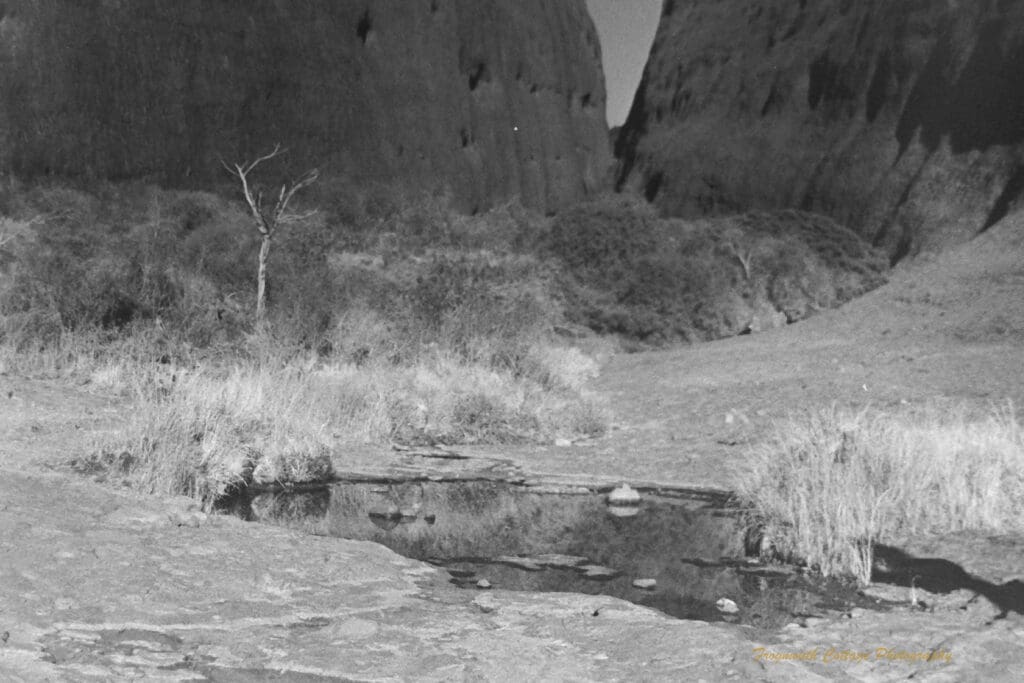 Black and white photograph of two very large rock formations with gap in between. In the foreground is a small pool of water surrounded by grasses.