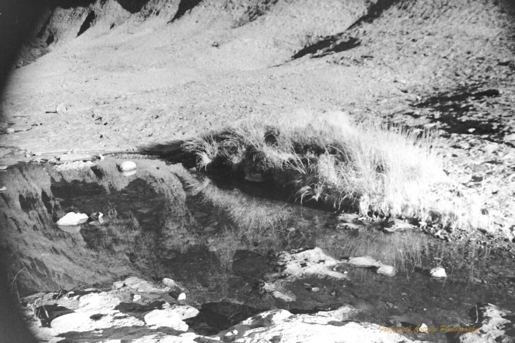 Black and white photograph of a small rock pool of water at the base of a curved rock face. Grasses are growing around the far side of the rock pool and are reflected in the water's surface.